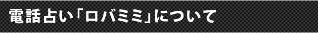 �d�b�肢���o�~�~�ɂ���